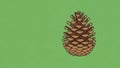 A digitally illustrated pine cone is centered on a solid green background Royalty Free Stock Photo