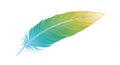 A digitally rendered feather features a gradient of colors, transitioning smoothly from Royalty Free Stock Photo