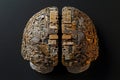 Artificial Intelligence Brain: A conceptual design showing circuitry on a simulated brain in gold and silver Royalty Free Stock Photo