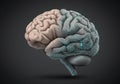 A digitally rendered human brain with a split appearance. The left half is depicted in a Royalty Free Stock Photo