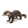 Adorable Brown Otter 3D Render: Wildlife Animal Portrait Royalty Free Stock Photo