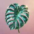 Shiny emerald green monstera leaf with glitter border and golden veins on a gradient pink background Royalty Free Stock Photo