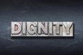 Dignity word den Royalty Free Stock Photo