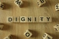 Dignity word from wooden blocks