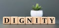 DIGNITY - word on wooden cubes on a gray background with a cactus