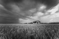 Dilapidated abandon wooden house surrounding paddy field Royalty Free Stock Photo