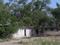 Dilapidated buildings covered by trees at the Glenrio ghost town, one of America`s ghost towns at Route 66