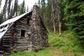 Dilapidated cabin in woods