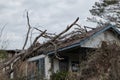 Dilapidated damaged abandoned house and tree Royalty Free Stock Photo