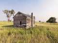 Dilapidated house in field.