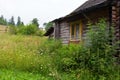 Dilapidated log house among high grass and flowers. Carpathians Royalty Free Stock Photo