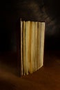 dilapidated old book in upright position on wooden dark background