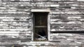 Dilapidated old house wall background with broken window