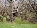 Dilapidated Old Treehouse in Countryside