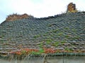 Dilapidated small lonesome roof