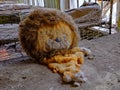 A dilapidated stuffed lion toy. An old torn plush toy in an abandoned kindergarten. An abandoned kindergarten in Chernobyl