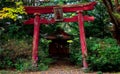 Dilapidated torii and an old forest shrine