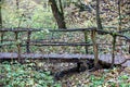 An old wooden bridge across a forest stream in the autumn forest Royalty Free Stock Photo