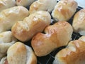 Dilicious baked homemade buns Royalty Free Stock Photo