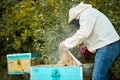 Diligent adult man beekeeper work with bee smoker in his apiary on bee farm