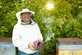 Diligent adult man beekeeper work with bee smoker in his apiary on bee farm Royalty Free Stock Photo