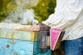 Diligent adult man beekeeper work with bee smoker in his apiary on bee farm