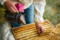 Diligent adult man beekeeper work with bee smoker in his apiary on bee farm