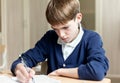 Diligent student sitting at desk, classroom