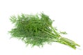 Dill