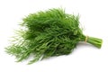 Dill Royalty Free Stock Photo