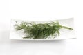 Dill (Anethum graveolens) on plate Royalty Free Stock Photo