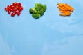 dill. baby tomatoes. carrot. broccoli. on wood blue sky background. space