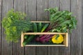 Dill, Beets, Cukes in Hod Horizontal Royalty Free Stock Photo