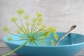 Dill blossoms Royalty Free Stock Photo