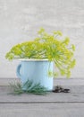 Dill blossoms in a enamel cup Royalty Free Stock Photo