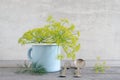 Dill blossoms in a enamel cup Royalty Free Stock Photo