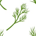 Dill branch seamless pattern greenery and organic seasoning