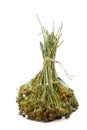 Dill in a bunch dried on a white background. Royalty Free Stock Photo