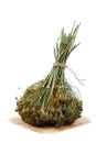 Dill in a bunch dried on a white background Royalty Free Stock Photo