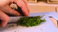 Dill close-up hand, kitchen green