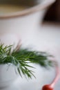 Dill closeup. sprig of greens, microgreens