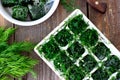 Dill cubes frozen Royalty Free Stock Photo