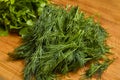 dill and fresh parsley prepared to be used