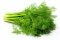 dill fresh vegetable, ai generated