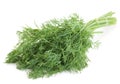 Dill herb