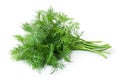 Dill isolated Royalty Free Stock Photo