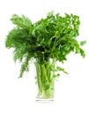 Dill and parsley in glass