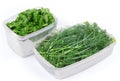 Dill and parsley twigs in two open plastic food containers Royalty Free Stock Photo