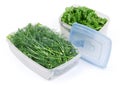 Dill and parsley in two food containers with removed lid Royalty Free Stock Photo