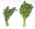 Dill and parsley